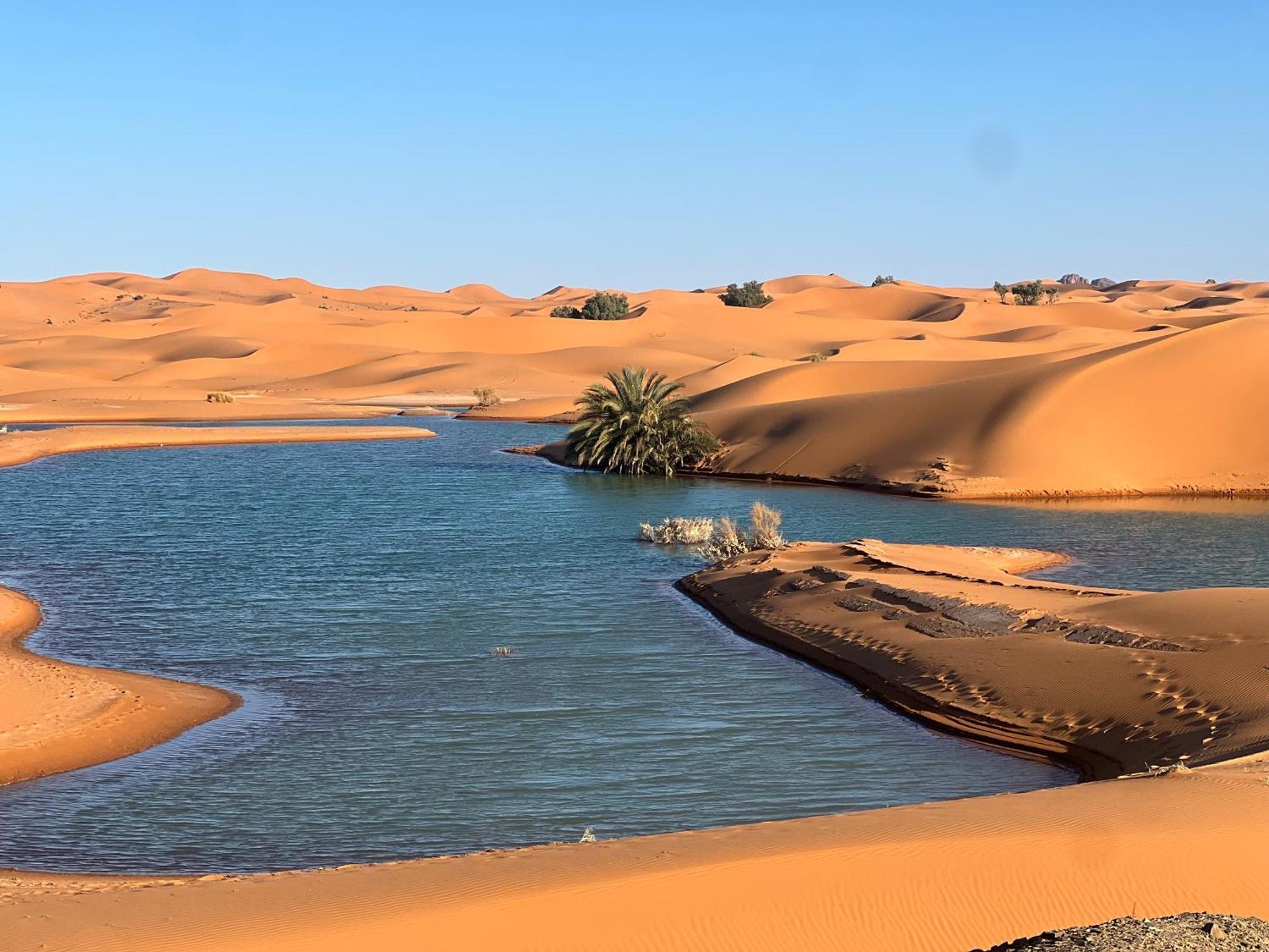 Berber Palace Merzouga Eksteriør bilde