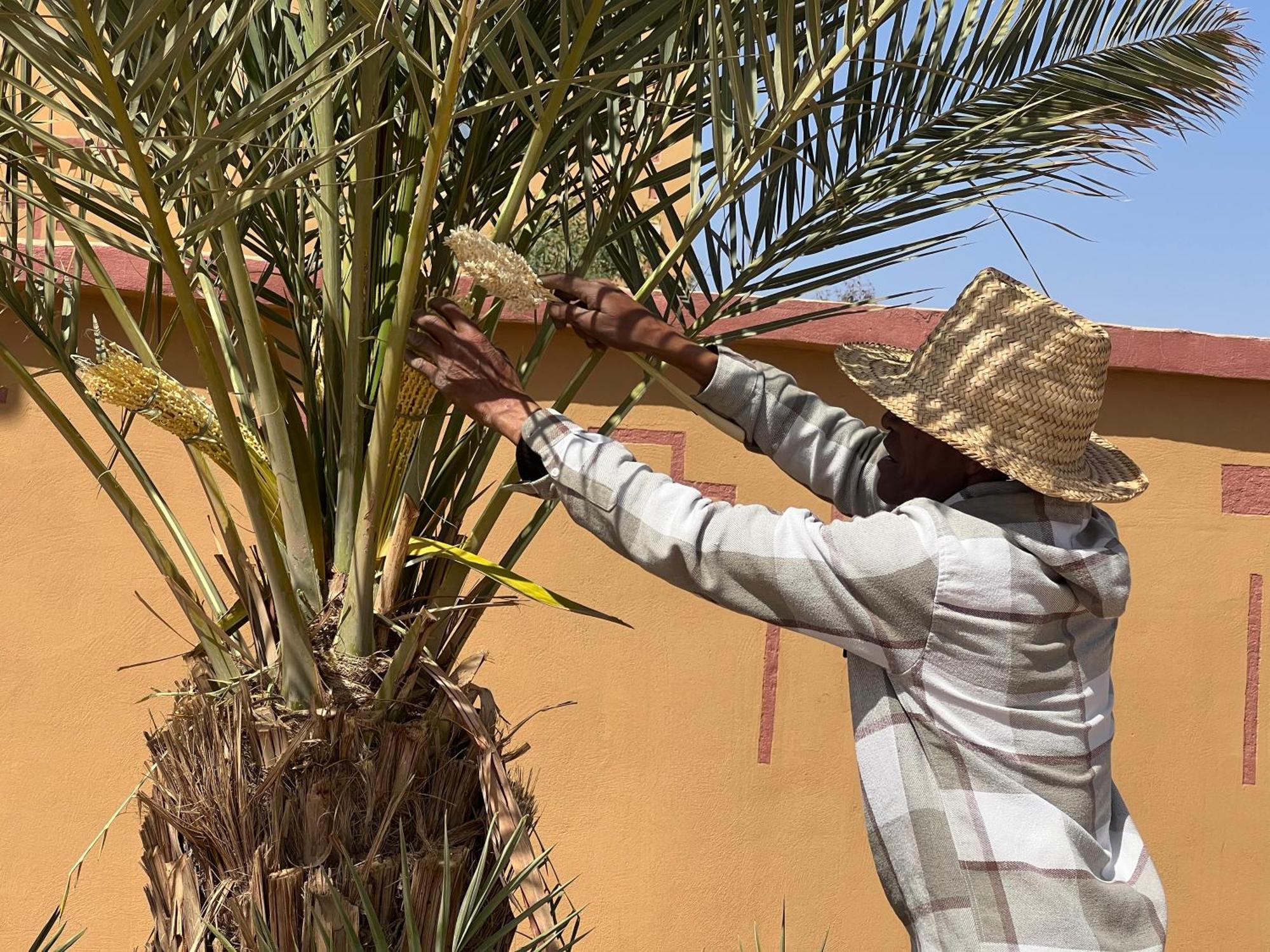 Berber Palace Merzouga Eksteriør bilde